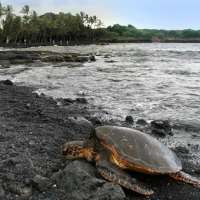 Toroslar Bölgesi'nde Mükemmel Bir Eşlik: Çarpıcı Toroslar Escort